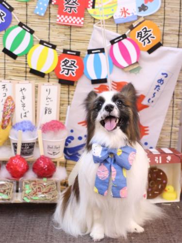 20240721マリーちゃん